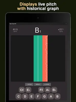 Bass Tuner BT1 android App screenshot 1