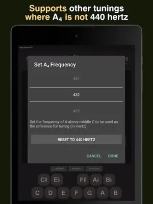 Bass Tuner BT1 android App screenshot 2