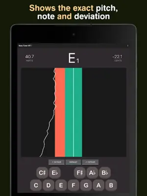 Bass Tuner BT1 android App screenshot 5